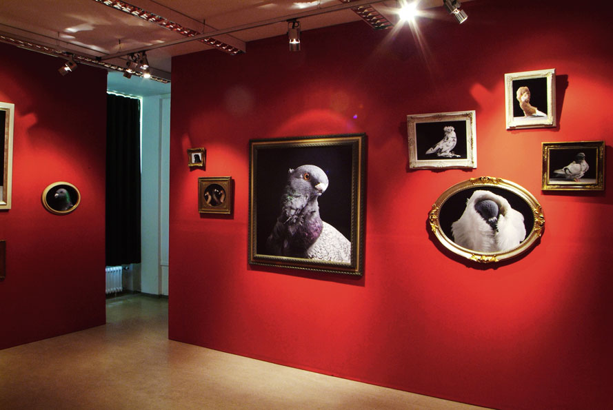 �������� ��� :: ���������� � �������� :: ���������� 2