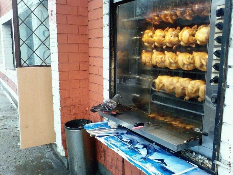 �������� ��� :: ������ :: ���������� 2