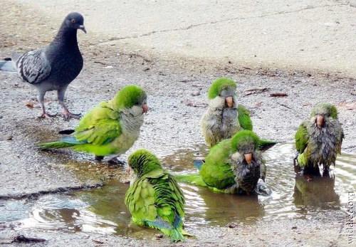 �������� ��� :: ������ ���� 28
