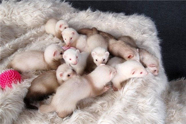 �������� ��� :: �������������� ������ :: ���������� 2