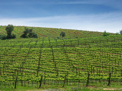������� :: ������� ���������� ���� 44