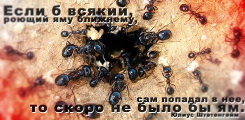 ����� �������� :: ������ � ��������� ���� 22