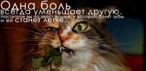 ����� �������� :: ������ � ��������� ���� 31