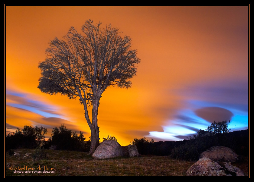 ������� :: �������� Rafael Ferrando Flores :: ���������� 2