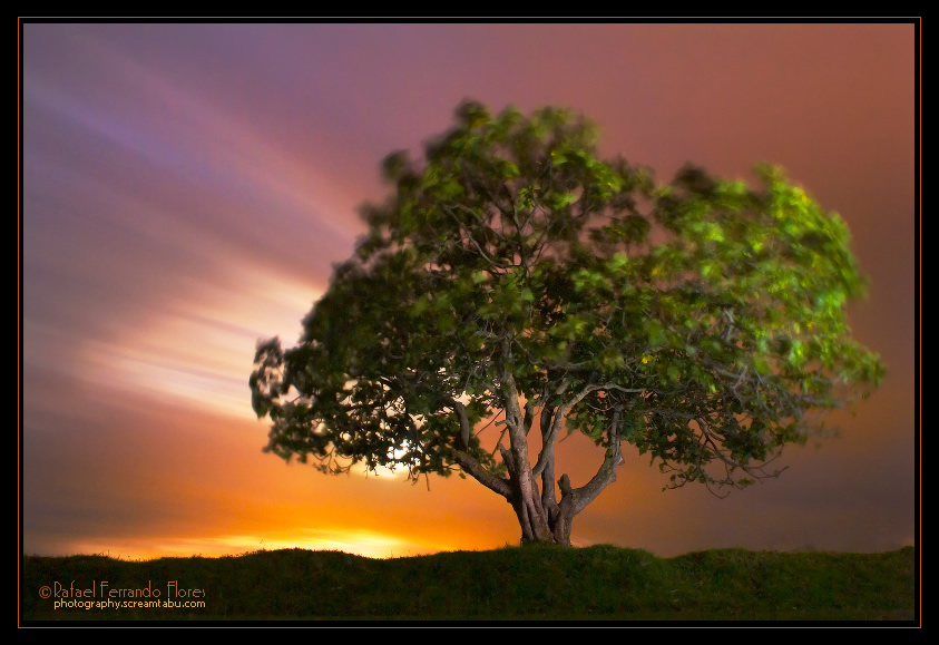 ������� :: �������� Rafael Ferrando Flores :: ���������� 2