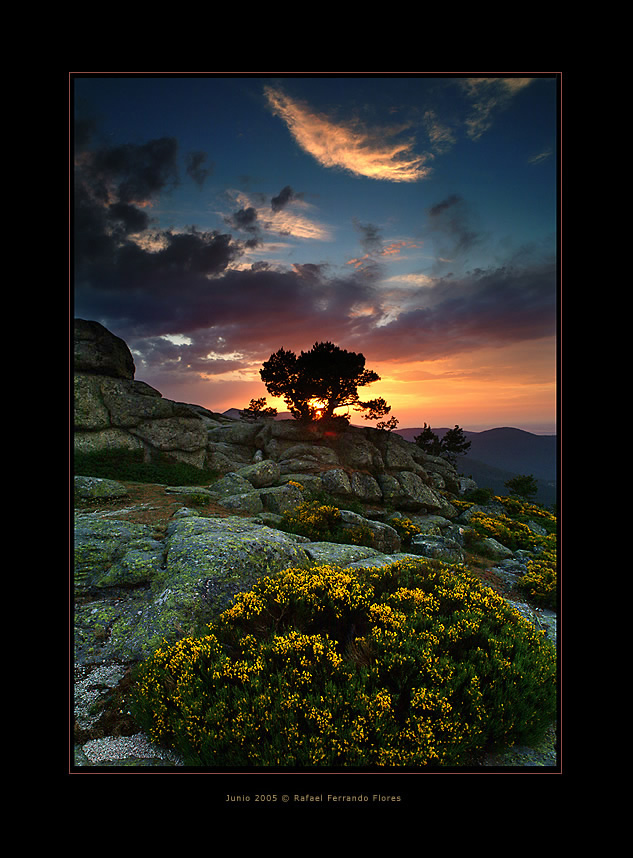 ������� :: �������� Rafael Ferrando Flores :: ���������� 2
