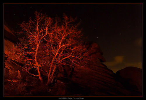 Природа :: Фотограф Rafael Ferrando Flores