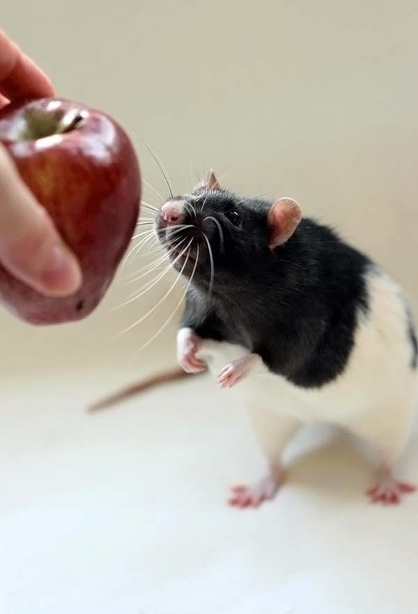 �������� ���� :: ���������� 2