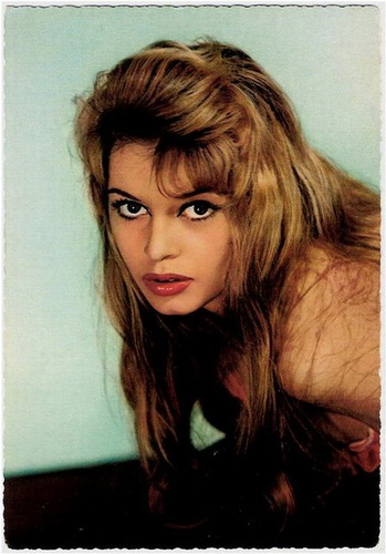 ����� ������� ���� 24