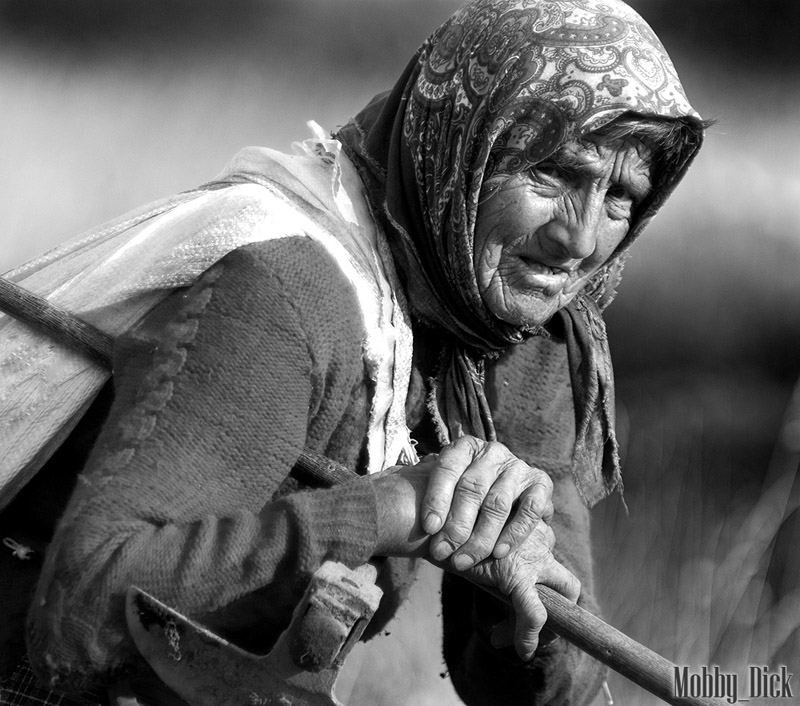 ����� �������� :: ������ � ����������� :: ���������� 2