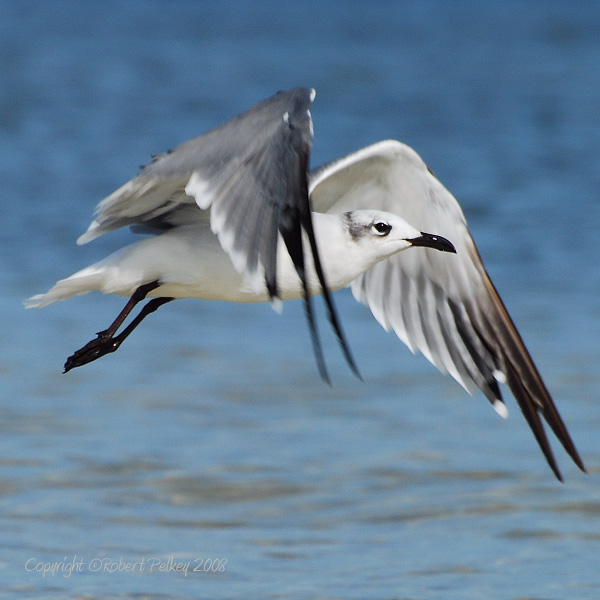 ������� ������ :: ���������� 2