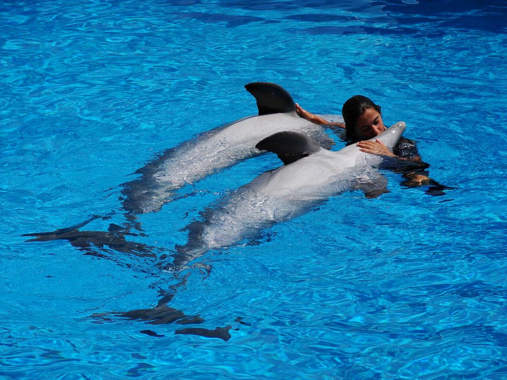 �������� ��� :: ����������� ��������� � ������� :: ���������� 2