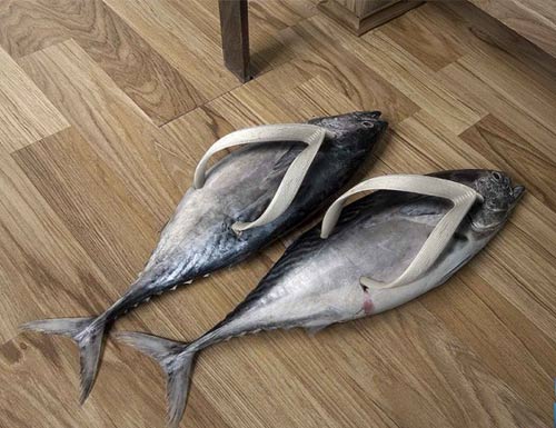 ������ ������ :: ����� ��� ��� ���� ������ ���� 28