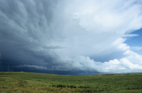 ���� ���� 4
