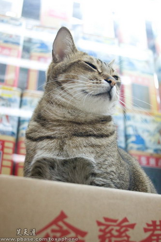 ����� ����� ����� ����� ���� 70