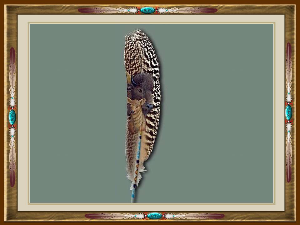 ������ ������ :: ���������� 2