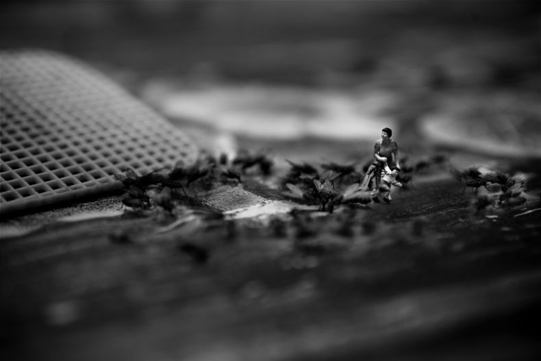 �� ����� ��������� ����� :: ���������� 2