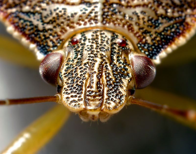�������� ��� :: ��������� ��� :: ���������� 2