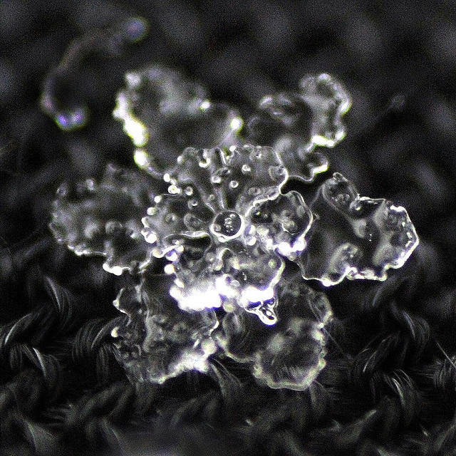   ::  2