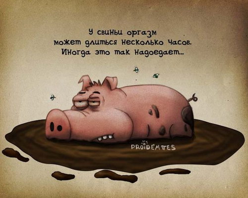 ������� �������� :: ������� �������� �������� ���� 6