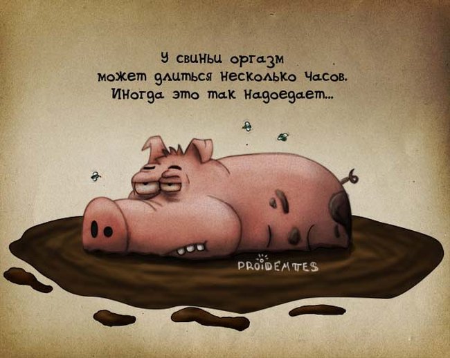������� �������� :: ������� �������� �������� :: ���������� 2