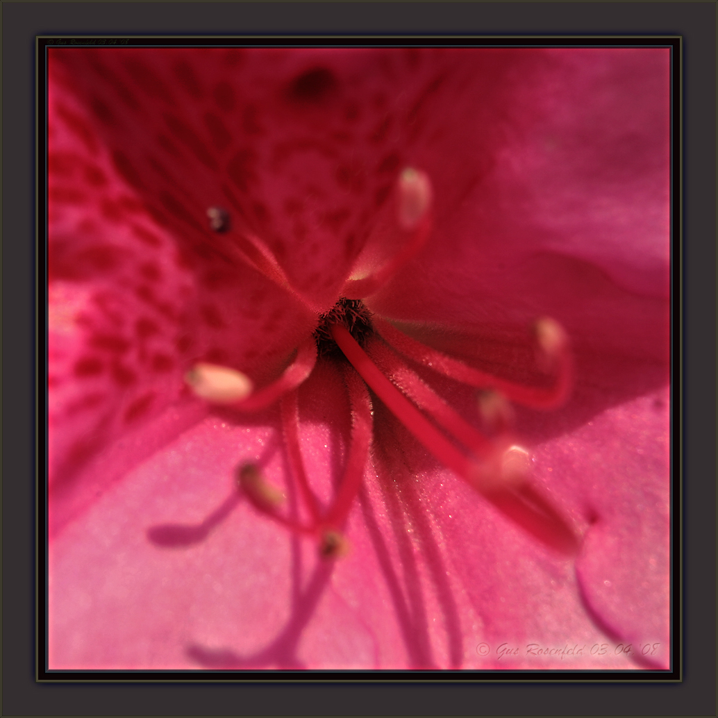������� :: ����� :: ���������� 2
