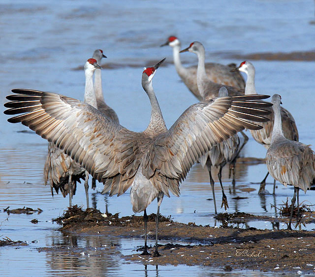�������� ��� :: ����� ������� :: ���������� 2