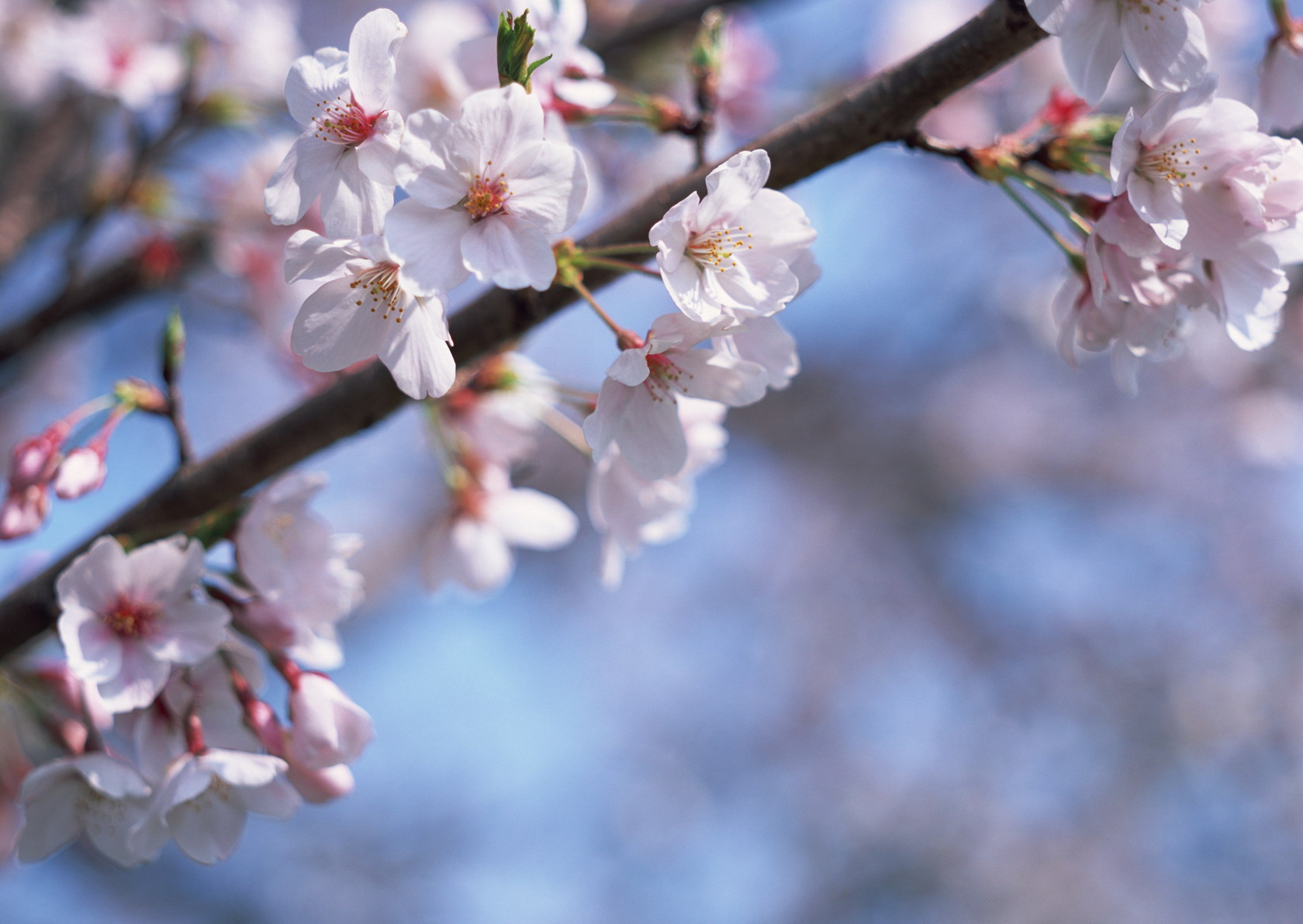 ����� �� ������� ���� :: ���������� 2