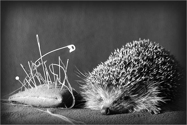 ���������� :: Stanislav Jagelo :: ���������� 2