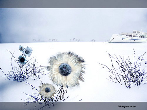 ���������� :: Stanislav Jagelo ���� 43
