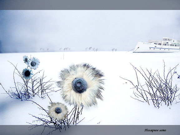 ���������� :: Stanislav Jagelo :: ���������� 2