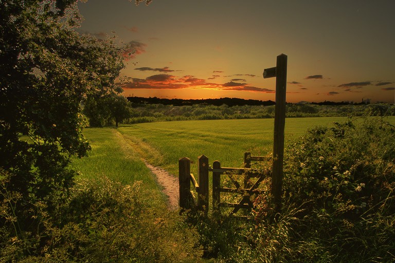 ������� :: �������� Steve Highfield :: ���������� 2