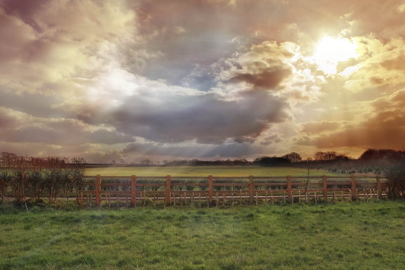 ������� :: �������� Steve Highfield :: ���������� 2