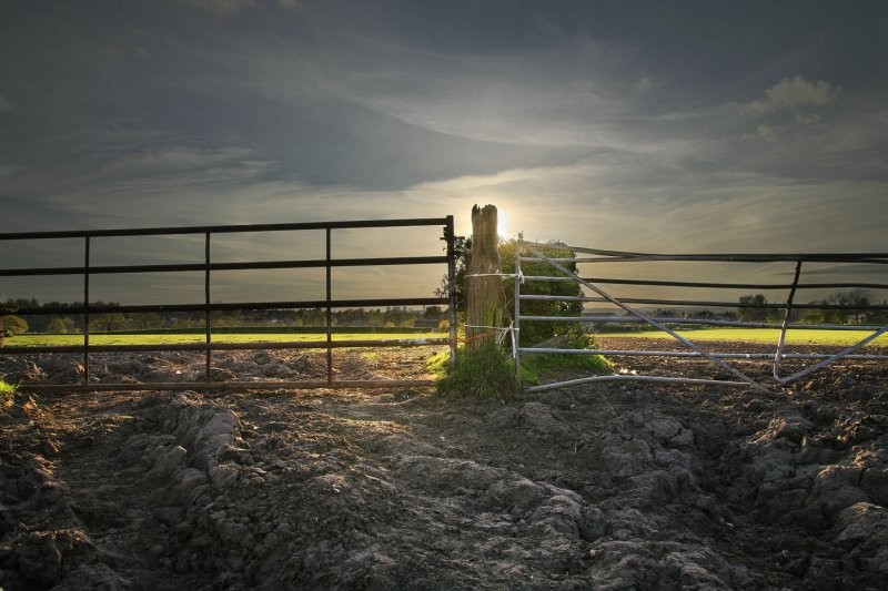 ������� :: �������� Steve Highfield :: ���������� 2