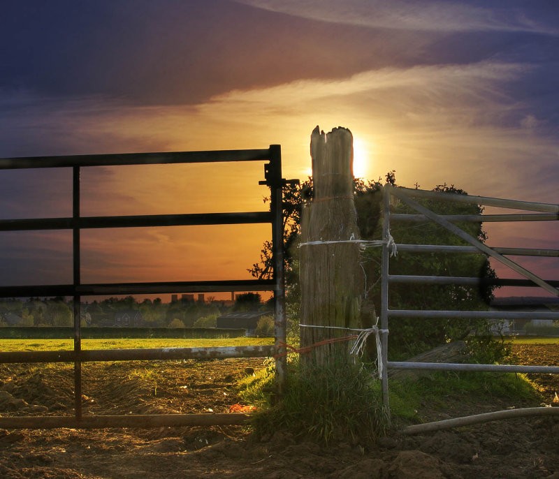 ������� :: �������� Steve Highfield :: ���������� 2