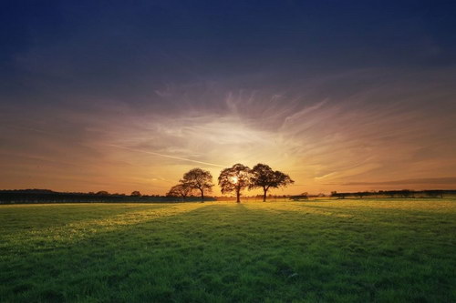 ������� :: �������� Steve Highfield ���� 44