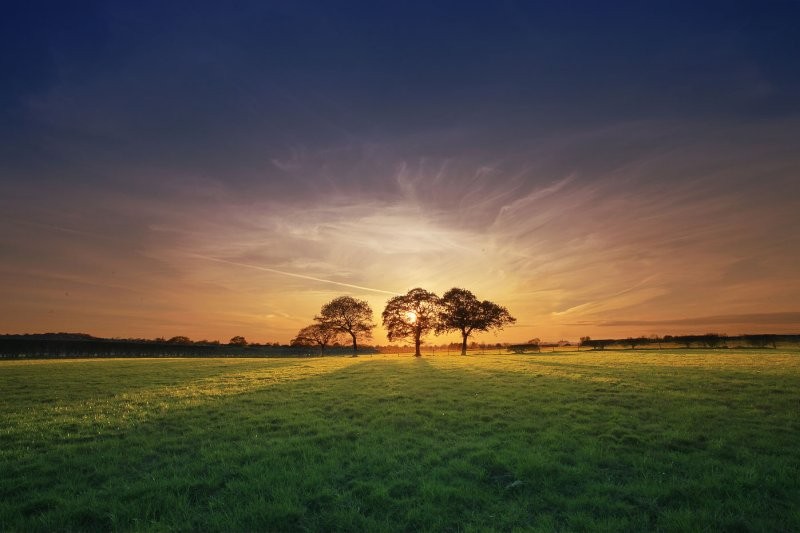 ������� :: �������� Steve Highfield :: ���������� 2