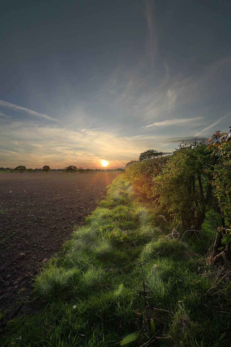 ������� :: �������� Steve Highfield :: ���������� 2