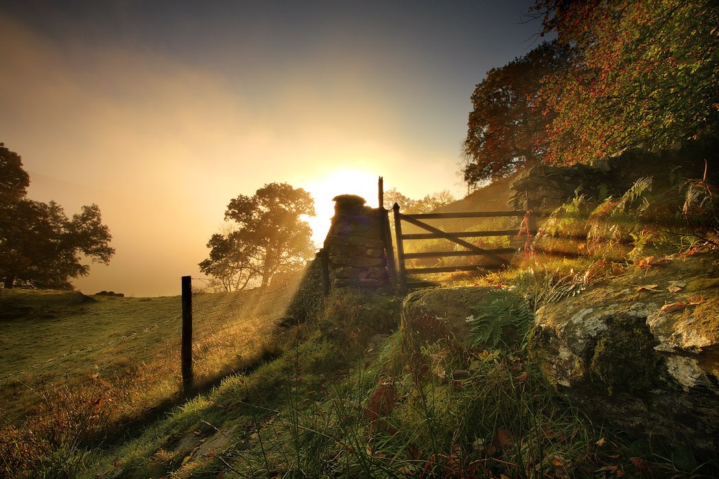 ������� :: �������� Steve Highfield :: ���������� 2
