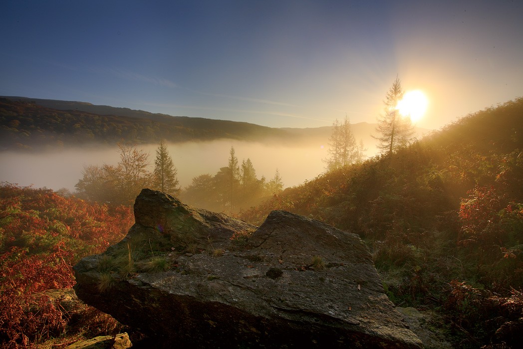 ������� :: �������� Steve Highfield :: ���������� 2