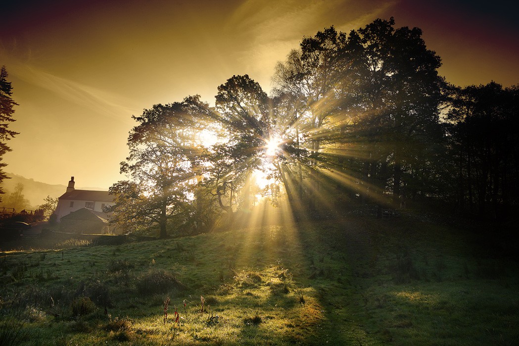 ������� :: �������� Steve Highfield :: ���������� 2