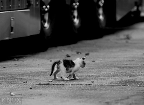 �� ����� ������� ����� :: ���������� 2