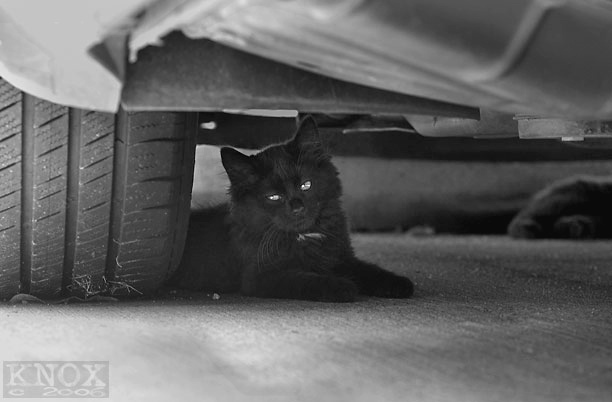 �� ����� ������� ����� :: ���������� 2