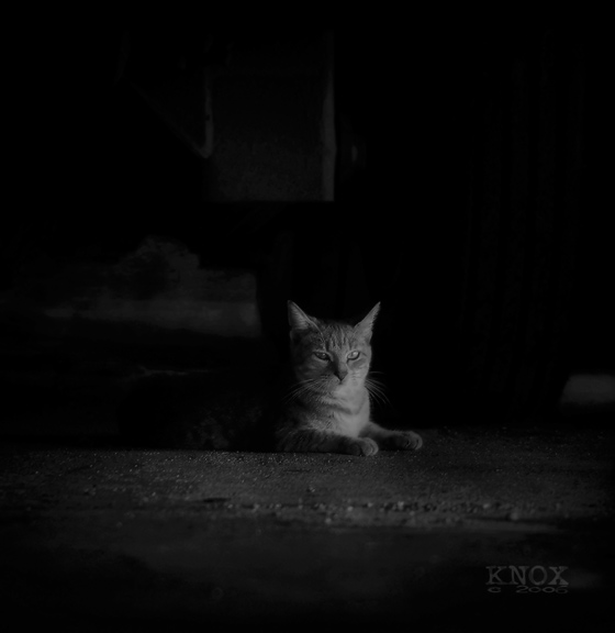 � ������ ����� ������ ���� �� ���� :: ���������� 2