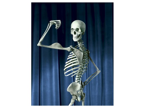 ���������� :: ������ Studioros ���� 75