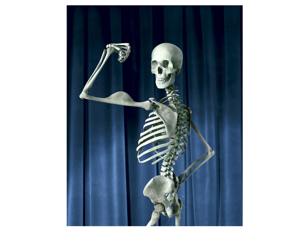 ���������� :: ������ Studioros :: ���������� 2