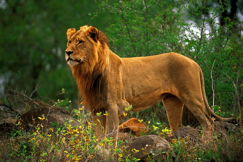 ����� ������� ���� 25