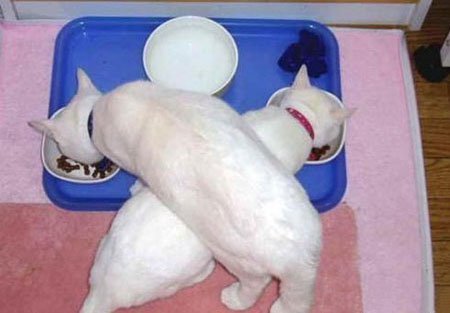 �� �� ��� ����� :: ���������� 1