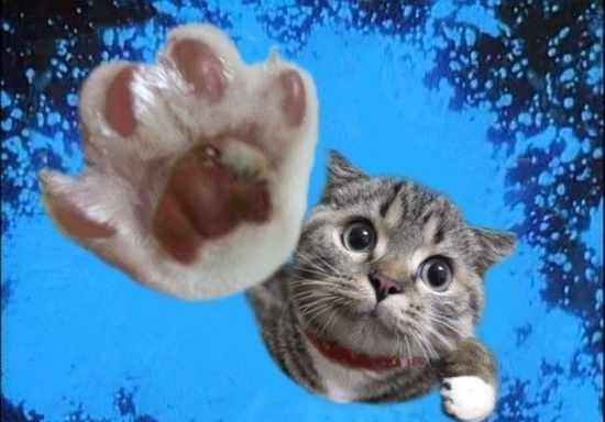 ����� � ���� :: ���������� 2