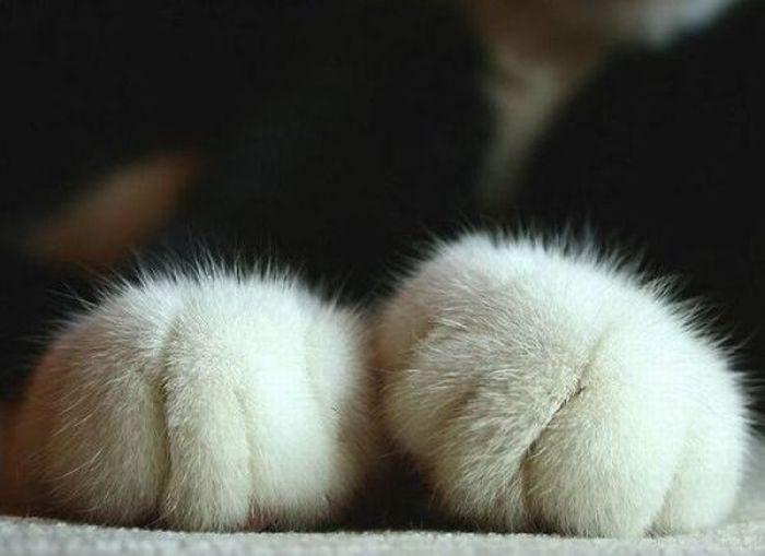 ����� :: ���������� 1